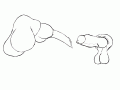 4981685bf40492fa42e9d6bc0c4c0bbe.gif