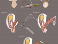 79ed222b2924ef75bdf7a174998b0f19.png