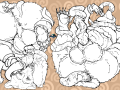 95d3b1b46213e364643512a1d2932074.png