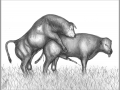 b9f9ea4b702d99a78722d752a792ea95.png