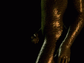 3cc70434a665a78170e7170751b5c66a.gif