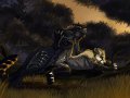 1319390250_arakida_sloppy-sideway.jpg