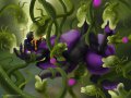 1581637850.slug_vanthrys_plantmaws.jpg