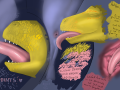 93369d68b9d95f99ee27f6ef17c7de4b.png