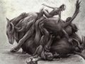 Bild-130-surika.jpg