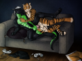 ac2949a5f86f1112ebdbe072fd7adb31.png