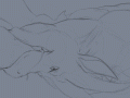 b075af64fbf9b9d679e5cb08d8eb2fa9.gif