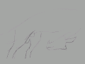 b6763f9ac482365d1790a9b5c6e6c404.gif
