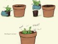 1686092343.sixthleafclover_mint_whelp_plant_squaresm.jpg