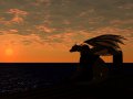 1212418355.lizardking_sunset.jpg